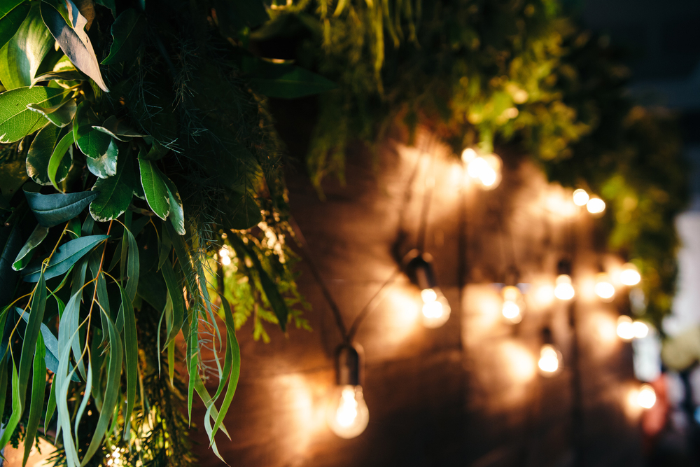 wedding hire image 5.jpg