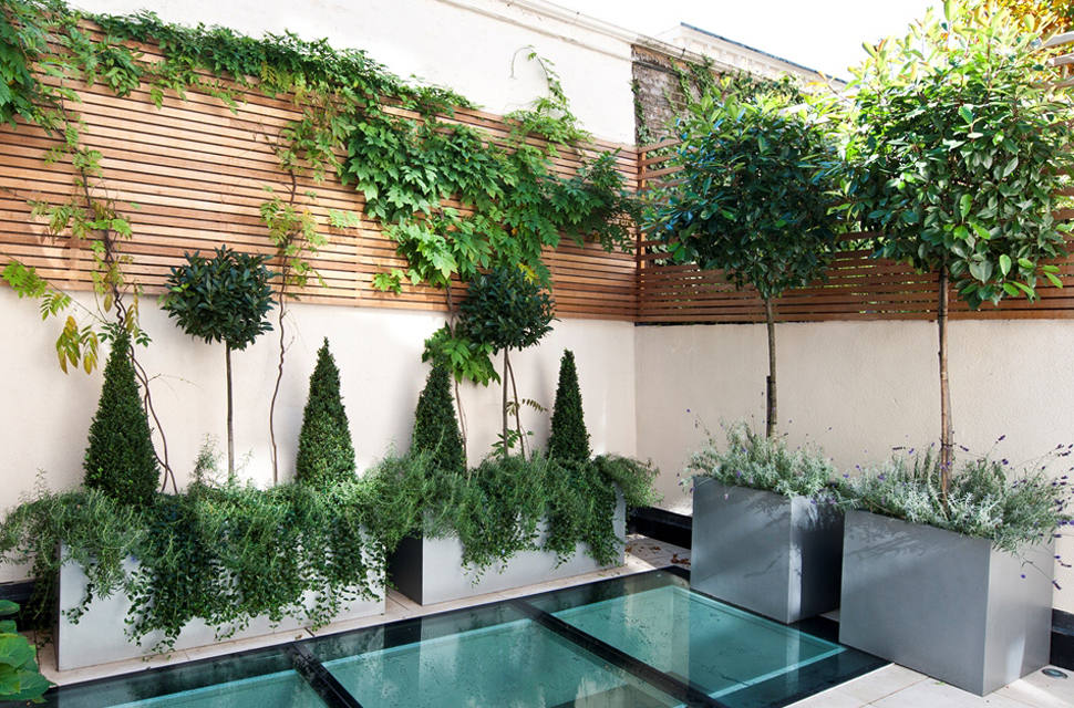 Garden products 6.jpg